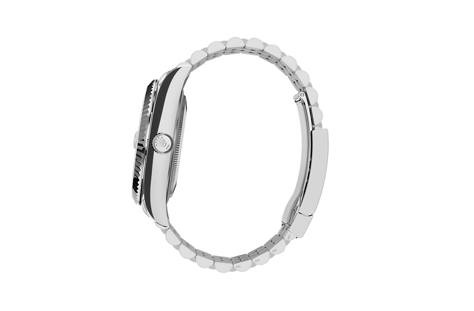 SKY-DWELLER Oyster 42 mm Oystersteel and white gold